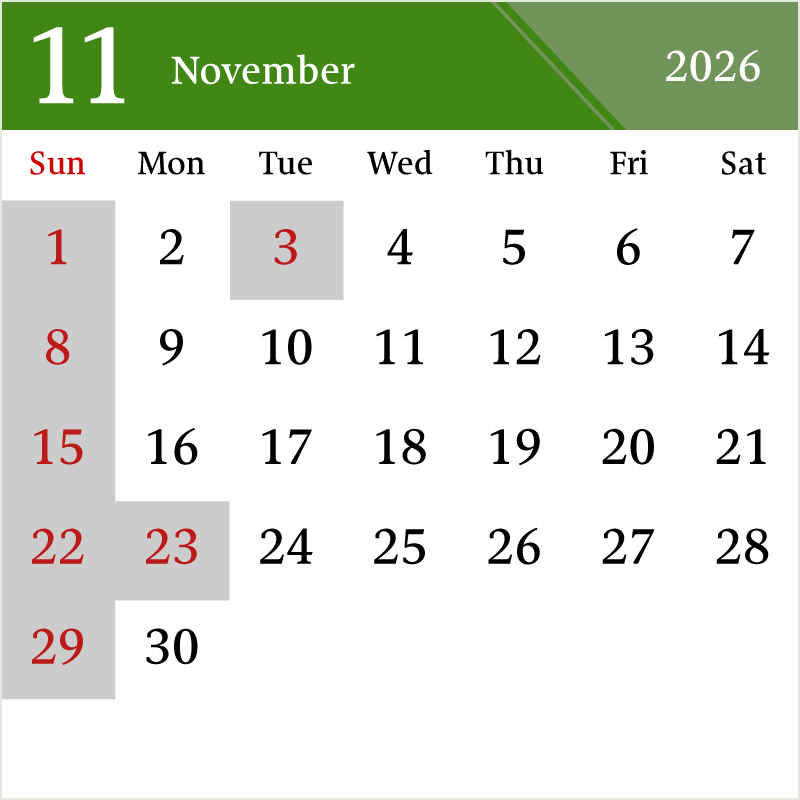26年11月